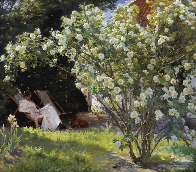 Peder Severin Kroyer Roses Garden in Skagen (nn02) oil painting image